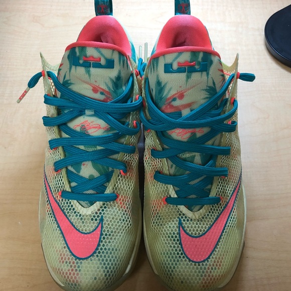 Nike Other - LIMITED Nike Lebronold Palmer low 12’s